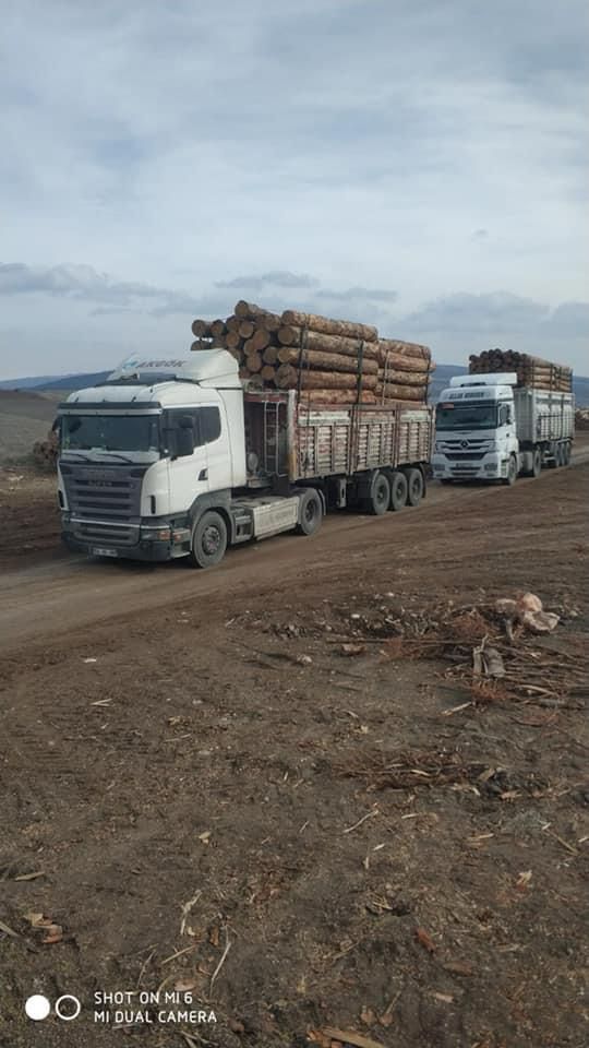 Şanver Orman Ürünleri ve Nakliye